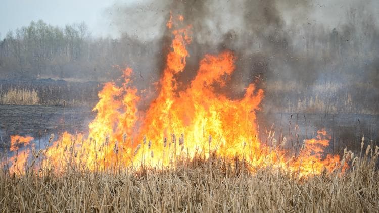 North Texas elementary school evacuated due to grass fire